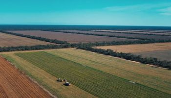 El gigante del agro que ya gestiona más de 365.000 hectáreas de forma digital en Argentina