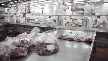 Se oficializó el reparto de la cuota Hilton: ganadores y perdedores en la exportación de carne