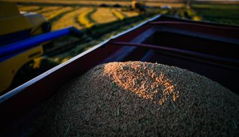 Demanda nos EUA sustenta mercado da soja