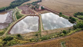 Como pedir o desconto na conta de luz para irrigação e aquicultura