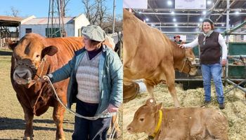 La docente jubilada que cumplió un sueño al llevar animales por primera vez a Palermo