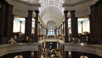 El lugar en donde se realizará un remate ganadero histórico, con 15.000 animales: "Nos encontramos frente a una gran oportunidad”