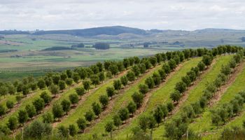 Embrapa orienta produtores para enfrentar o El Niño