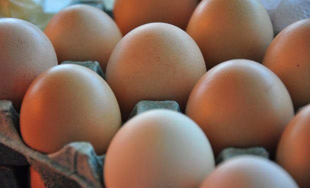 Día Mundial del Huevo: consumo récord en Argentina y por qué se celebra