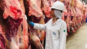 Novas regras da UE mudam certificação das exportações de carnes