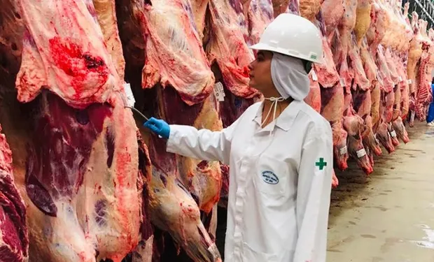 Frigoríficos e estabelecimentos exportadores deverão reforçar controles e comprovar o cumprimento das exigências sanitárias para vender ao mercado europeu. Foto: Anffa Sindical