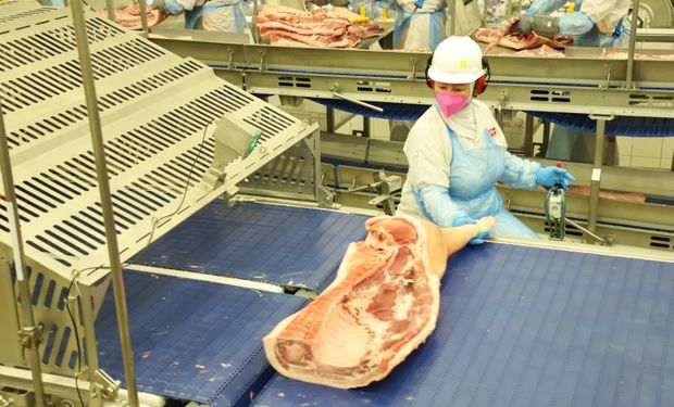 Entre os estados exportadores, Santa Catarina manteve a liderança nacional, com 65,2 mil toneladas embarcadas em junho, apesar da retração de 6,9% na comparação anual.