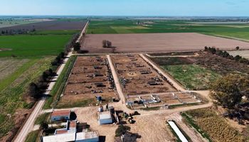 Algo está cambiando en los feedlots: la nueva dinámica del engorde que apareció en septiembre