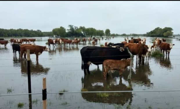 Qué es El Niño, qué pasa con las lluvias en Argentina y cómo puede impactar en el campo