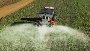 Urea más barata: el "efecto Messi" que revoluciona al campo y altera los planes de siembra