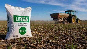 Mejora el poder de compra del productor: el trigo y el maíz recuperan terreno frente a la urea y los agroquimicos Mejora el poder de compra del productor: el trigo y el maíz recuperan terreno frente a la urea y los agroquimicos