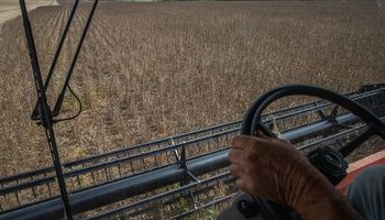 La urgencia sale cara: el error que muchas empresas agropecuarias cometen y cómo solucionarlo