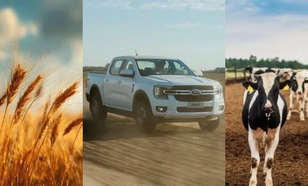 Cuánto cuesta invertir en el campo: qué bienes bajaron de precio y cuáles se encarecieron