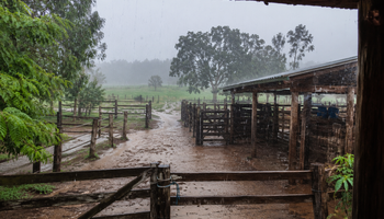 Frente fria leva chuva e derruba temperaturas