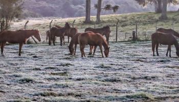 Ciclone e ar polar levam frio intenso ao Brasil