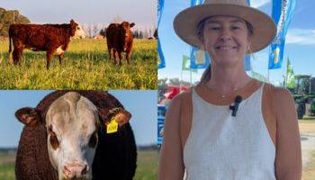 "Tienen un país hermoso, con todo, merecen que les vaya bien": el mensaje de una ganadera uruguaya sobre las oportunidades que se abren para el agro en Argentina, con foco en la carne