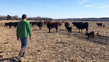 ¿El ganadero promedio de Estados Unidos tiene apenas 44 vacas? Cómo "trabajar a cambio de hacienda" generó una de las carnes más valoradas del mundo
