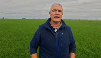 En un cambio rotundo, ahora el productor brasilero destaca las buenas condiciones del agro argentino para invertir: "Los veo más motivados"