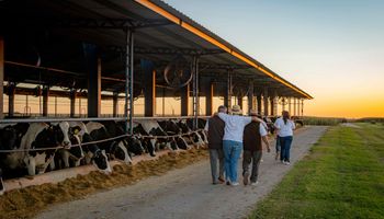 El espacio donde los productores dejan de tomar decisiones solos