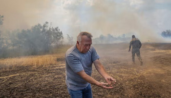 ¿Se termina la guerra entre Rusia y Ucrania? El precio del trigo recibe el impacto de la negociación