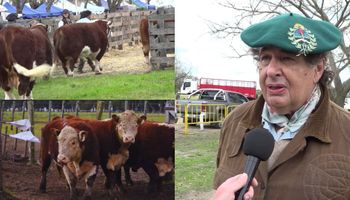 “Gracias a la oftalmología tengo el campo”: el médico que hace 40 años cría Hereford y ganó cuatro veces una prueba pastoril