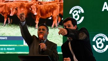 "Hay muy buenas vibras en la ganadería argentina", destaca un referente del mercado tras la subasta de 35.000 cabezas en la Expo Rural de Palermo