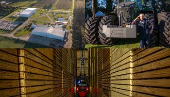 De un pequeño lote a producir casi 1000 hectáreas del "cultivo del futuro": cosechan 30.000 toneladas al año de papa y abastecen al gigante McCain con agricultura regenerativa