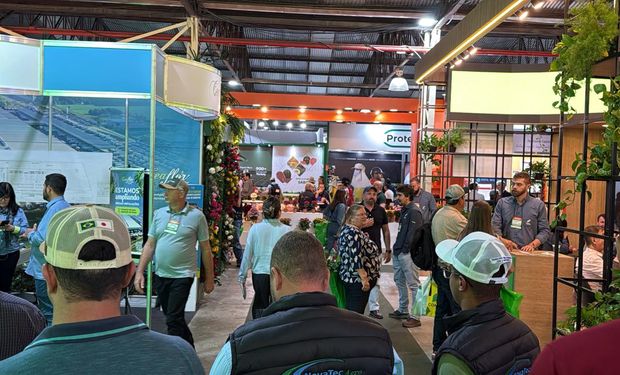 Mais de 31 mil produtores e profissionais do agro visitaram a edição 2026 do evento Divulgação