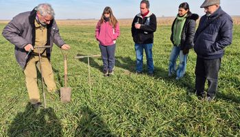 “No sé con qué recurso suelo les va a tocar vivir a nuestros hijos”: la advertencia de un agrónomo referente y el pedido de tener un profesional en cada campo