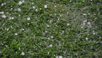 Alerta de temporais e geada no Sul