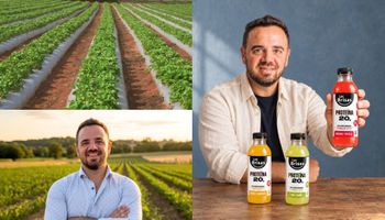 Empezó con 2 hectáreas de frutillas y recibió un pedido de 800 toneladas: una crisis cambió su negocio y ahora busca potenciar las exportaciones