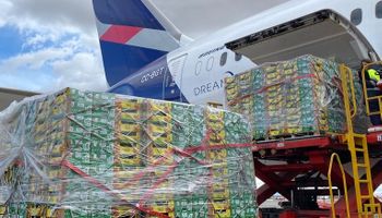 LATAM Cargo amplia em 42% o transporte aéreo de frutas brasileiras no primeiro semestre