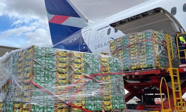 Embarque de frutas brasileiras em aeronave da LATAM Cargo para exportação.