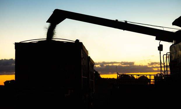 Colheitadeiras operam em lavoura de grãos durante a colheita; Datagro projeta crescimento da produção de soja e milho na safra 2026/27.