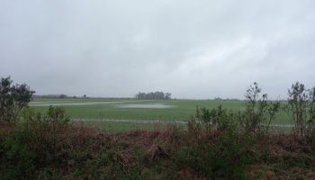 Alerta por lluvias y acumulados de hasta 70 milímetros: llegaría a los campos que no recibieron agua en las últimas semanas