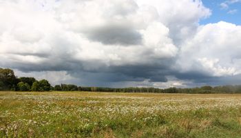 Alerta: se prevén algunas tormentas en zonas bajo emergencia agropecuaria