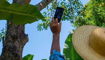 Onde está a inovação do agro na América Latina?