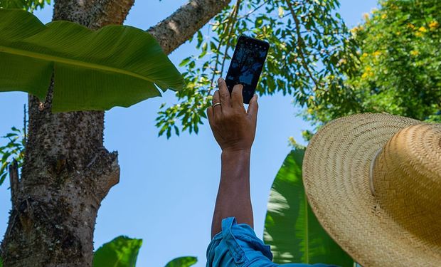 Brasil concentra 78% das startups mapeadas. Argentina, México e Chile aparecem em seguida na lista. Foto: Lilian Alves
