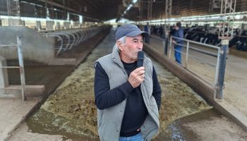 Montó un sistema inédito en un tambo de Argentina con resultados "increíbles", dándole valor a los residuos de la producción de leche