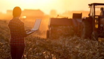 Más de US$ 200 millones: cómo funciona la plataforma del Banco Nación para financiar compras agropecuarias en dólares