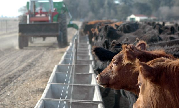 Alimento balanceado a 90 días con tasa 0% y baja de aranceles "en carpeta": el Gobierno destaca el financiamiento disponible y analiza cambios a los insumos para alimento animal