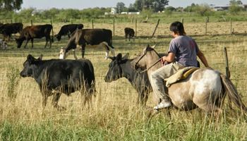 Nuevo aumento para los trabajadores rurales: cuánto cobrará un peón desde julio