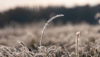 Llega una semana polar: anticipan heladas de hasta -6 °C y el día más frío ya tiene fecha