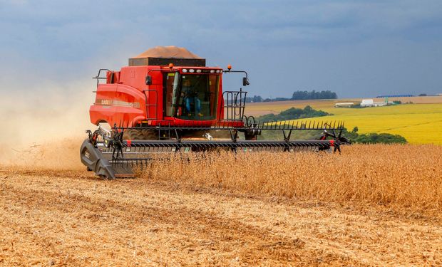 Desempenho das atividades agrícolas pressionou o resultado do setor nos primeiros três meses de 2026.