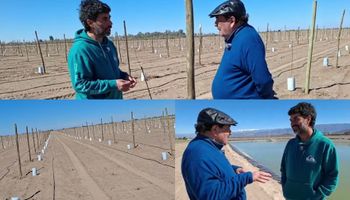 La familia que fue pionera con el pistacho suma más hectáreas en una zona en donde ya hay 10.000 iniciadas, pero solo 100 en producción: anticipan una "explosión" del fruto en Argentina