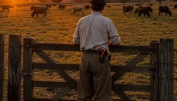 De venta libre, las pistolas de baja letalidad que son furor en el campo: cuánto salen y por qué servirían para la rotura de silobolsas y el manejo de animales peligrosos