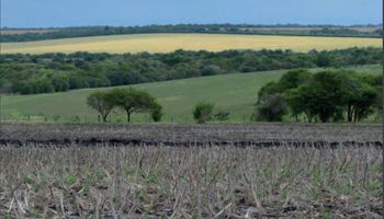 Con multas de hasta US$ 440.000 por un mal uso del campo: el modelo que Uruguay aplica desde hace 58 años para cuidar el suelo