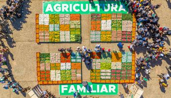Plano Safra será de R$ 97,3 bilhões para agricultura familiar