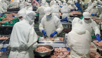 Sorpresa: el pollo chino ya cuesta hasta US$ 1.000 menos por tonelada y empiezan a exportar sacudiendo al mercado de carne