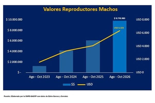 Gráfico de la evolución del precio promedio de los toros en pesos y dólares, de 2023 a 2026